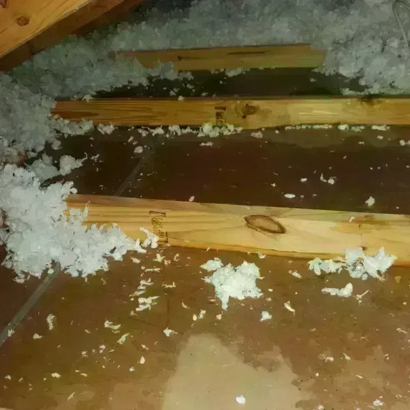 Attic Water Damage in Napavine, WA